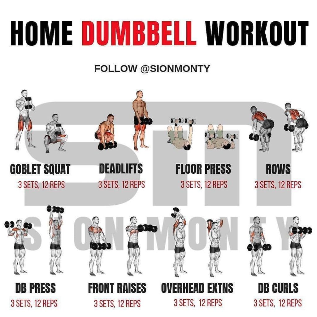 Dumbbell Workouts for Building Upper Body Strength - The Sports Flush